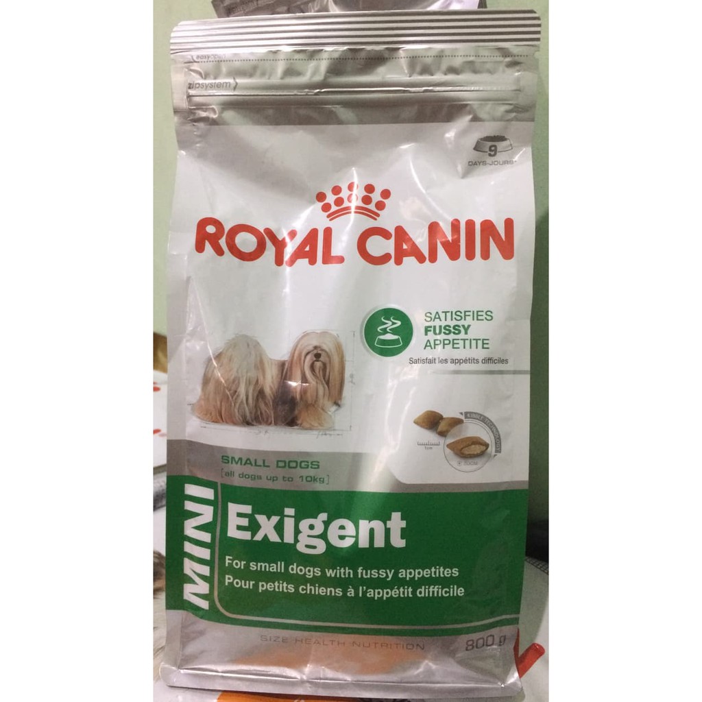 royal canin exigent small dogs