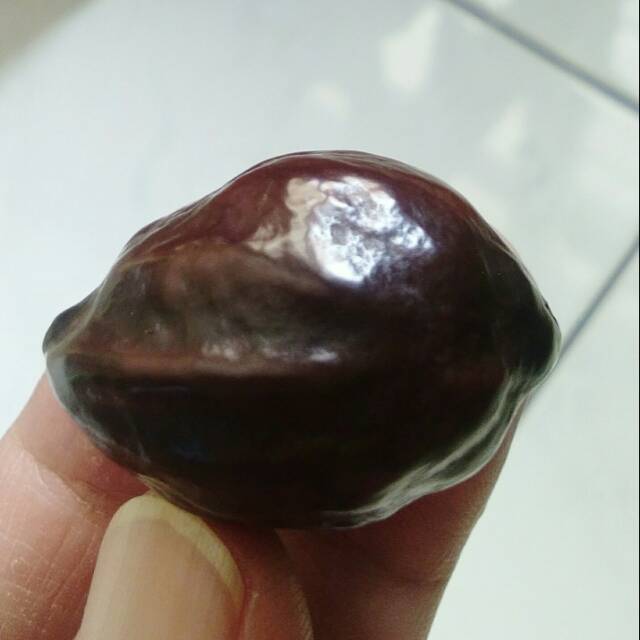 Muncang Adu Nyonyo Ori Matang