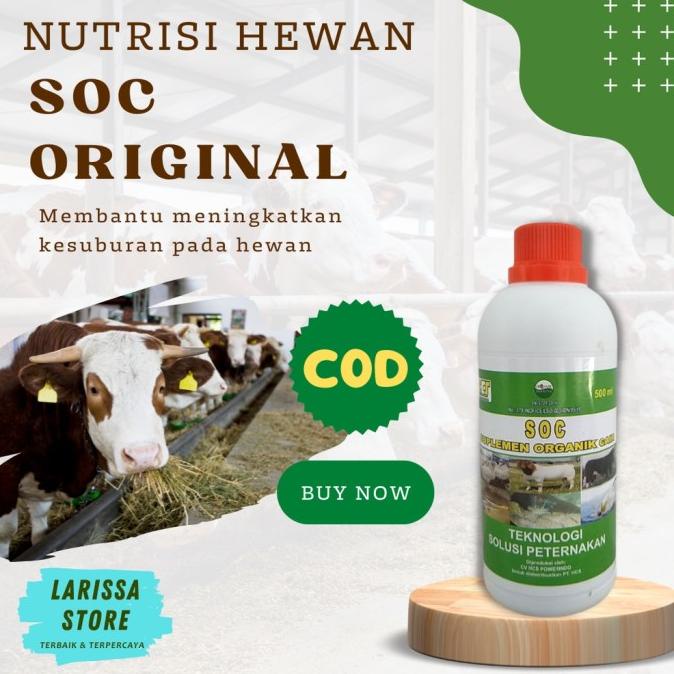 JUAL SOC HCS Obat hewan Vitamin Hewan ternak Obat penggemukan ternak