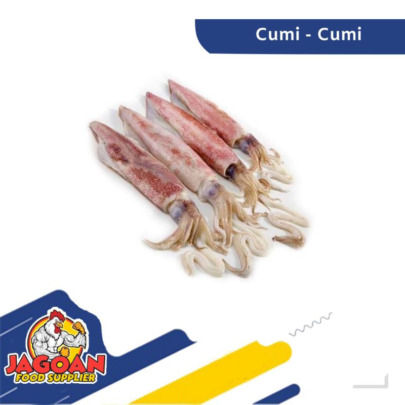 

Cumi - Cumi 500 Gram / Ikan Segar