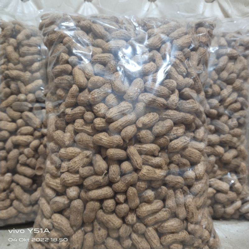 

KACANG KULIT SANGRAI MADURA Super Enak gurih renyah 1kg