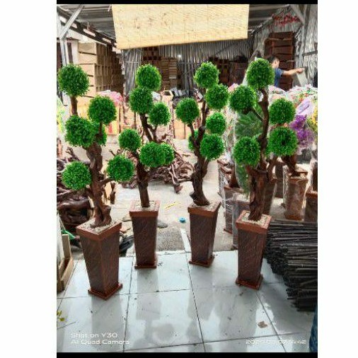 Bunga Sudut Hias Bonsai Bola Hijau