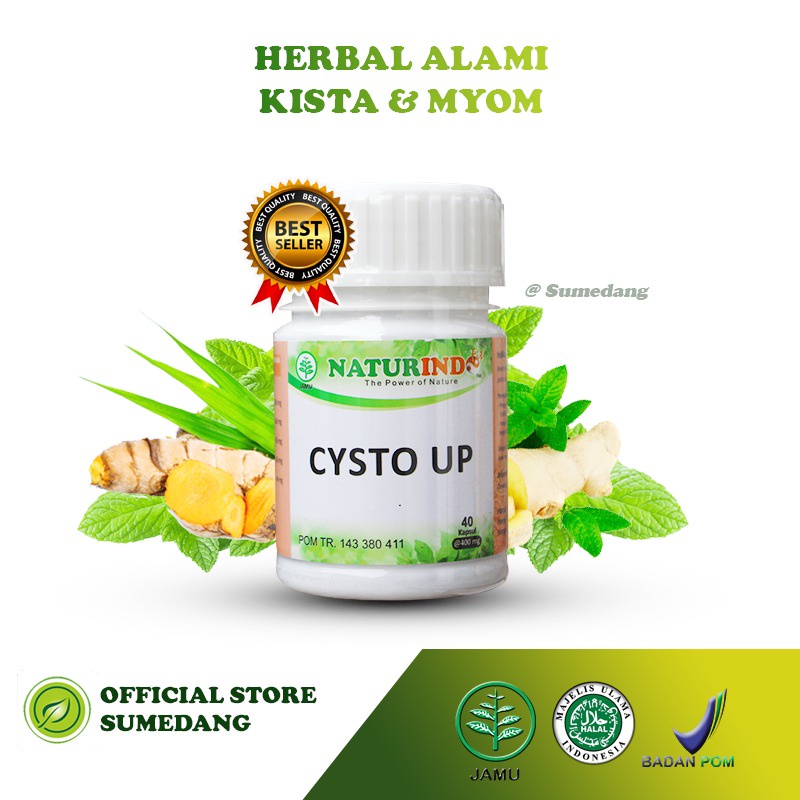CYSTO UP Obat Herbal Kista Dan Miom Dengan Gejala Mudah Lelah Nyeri Bab Beser Perut Kembung-8