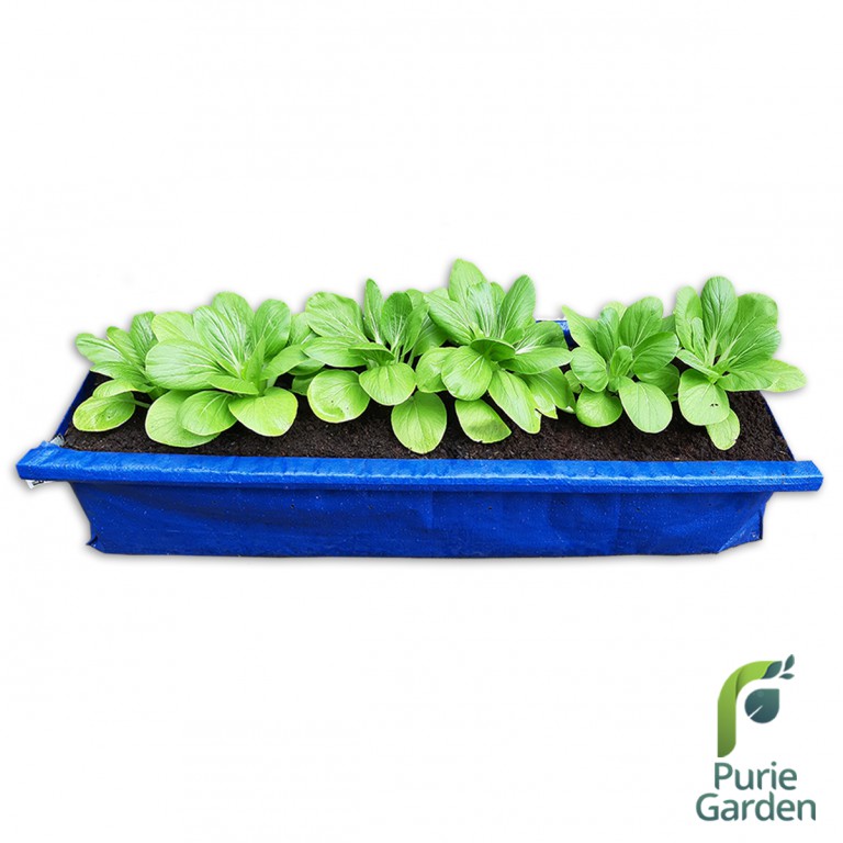 Hedge Planter Bag Small Pot Tanaman Pagar Puriegarden PG SBY