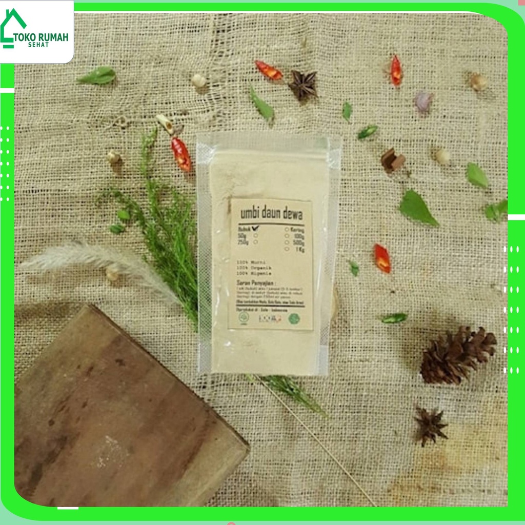 

UMBI DAUN DEWA BUBUK 1 KG - Gynura Divaricata - MURNI - JSR