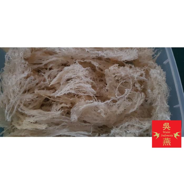 

TERMURAH SARANG WALET PATAHAN 5GR