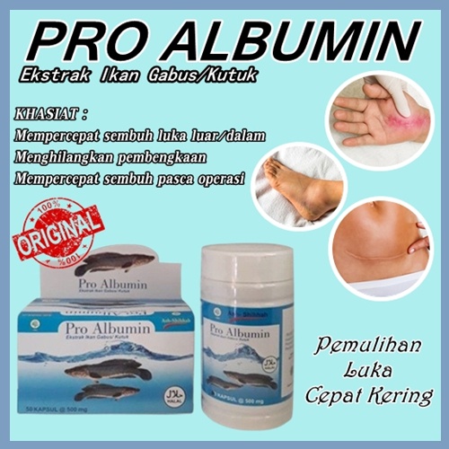 kapsul ikan gabus original Pro Albumin obat herbal pengering bekas luka operasi dan meningkatkan daya tahan tubuh ASLI