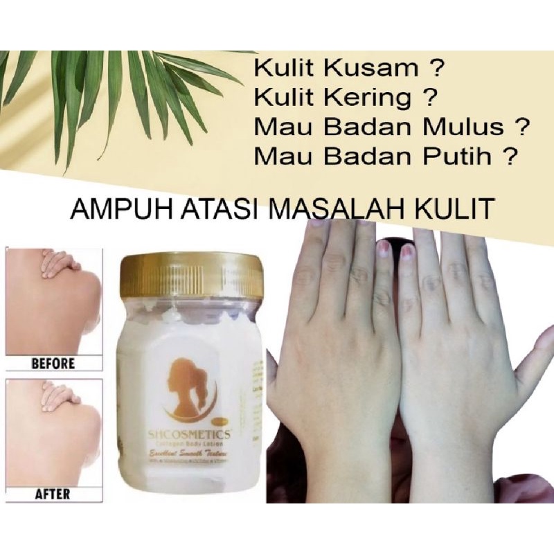 BIBIT COLLAGEN SH COSMETICS/BODY LOTION PEMUTIH