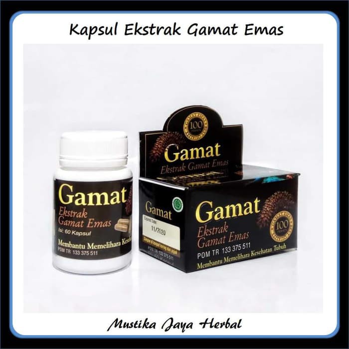 Kapsul Ekstrak Gamat Emas