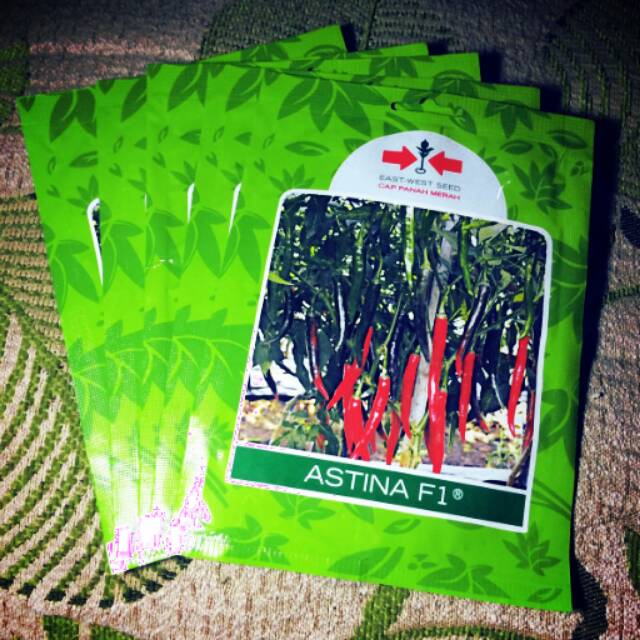 Benih Cabe ASTINA F1 Cabai Besar Hibrida cap Panah Merah, kemasan asli