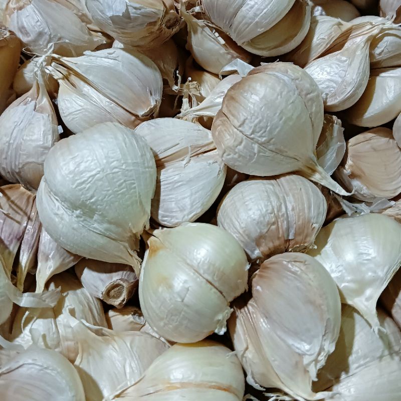 

GROSIR BAWANG PUTIH BERSIH FRESH 250 500 GRAM | BAWANG PUTIH KATING