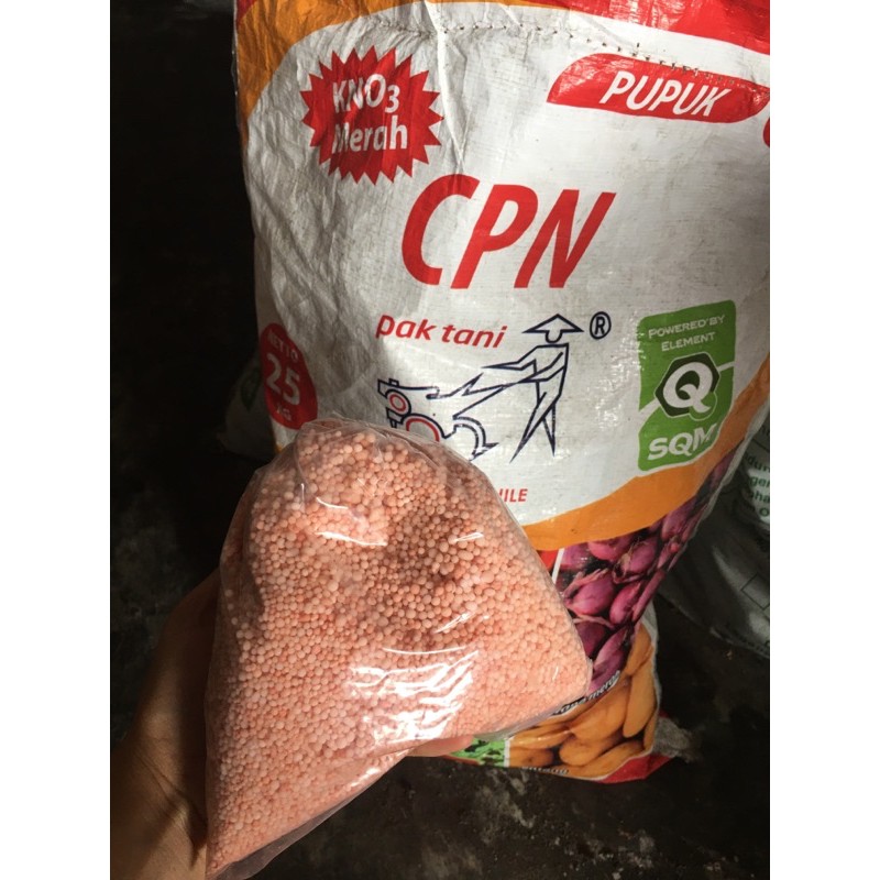 pupuk cpn kno 3 kno3 merah pak tani 1 kg
