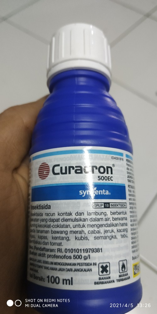 Insektisida Pembasmi Hama Kutu Putih Curacron 500ec-100ml