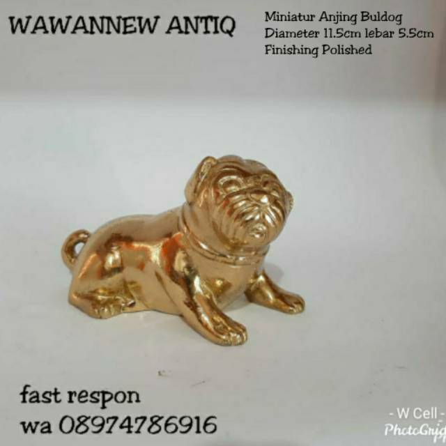 Miniatur Pajangan Meja Lemari Pintu Rumah Kuningan Antik Murah Motif Anjing Bulldog 11.5cm