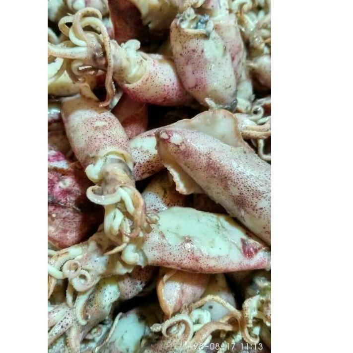 

Cumi Asin Telor Rebus 1KG Ukuran 3-5cm Ikan Asin Hot Sale