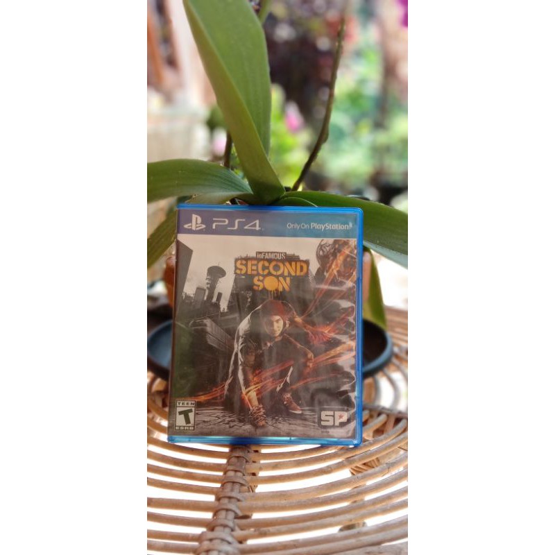 PS4 Second Son