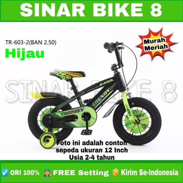 Sepeda Anak Laki Ukuran 12 16 18 Inch 730  Ban 3.0 Ban Pompa TRENDY TR 603- 2 Ban Jumbo 2.50