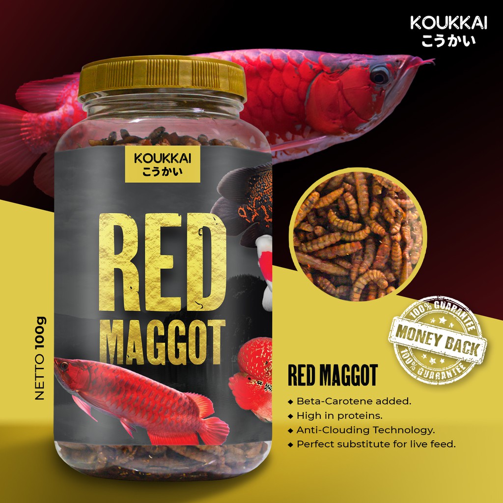 Red Maggot With Beta Carotene Koukkai Pakan Ikan Predator Makanan Ikan Arwana Koi Louhan Shopee Indonesia Makanan ikan hias aquarium tanpa oksigen