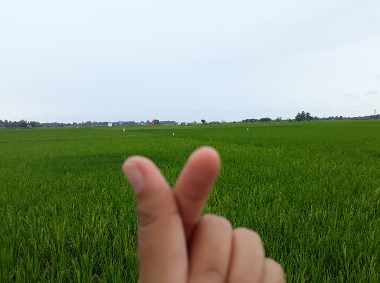 Atasan Batik Tunik Wanita Modern Batik Kerja Wanita Lengan Panjang  Bahan Katun Berkwalitas Invb046