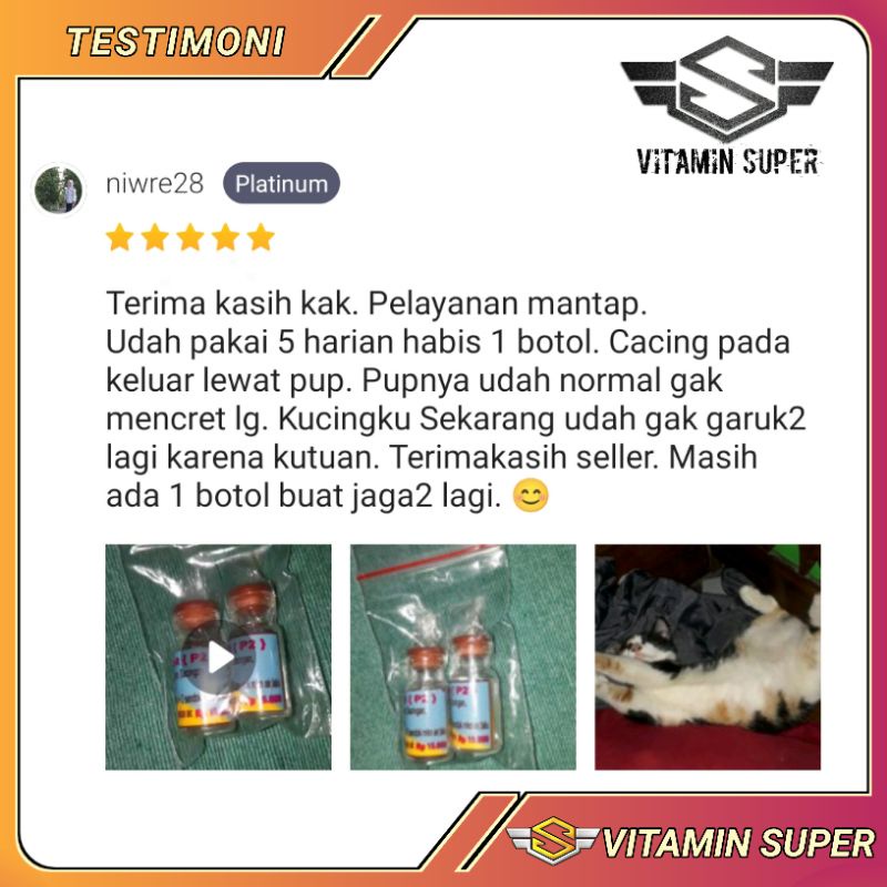 Obat Kucing Anti Parasit P2  | Obat Scabies, Jamuran, Abses, Kutuan, Cacingan, Gatal-gatal, Ketombe, Tungau, earmeat dan Masalah Kulit