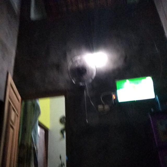 Cetakan Coklat Puding Mika Bentuk Daun Besar