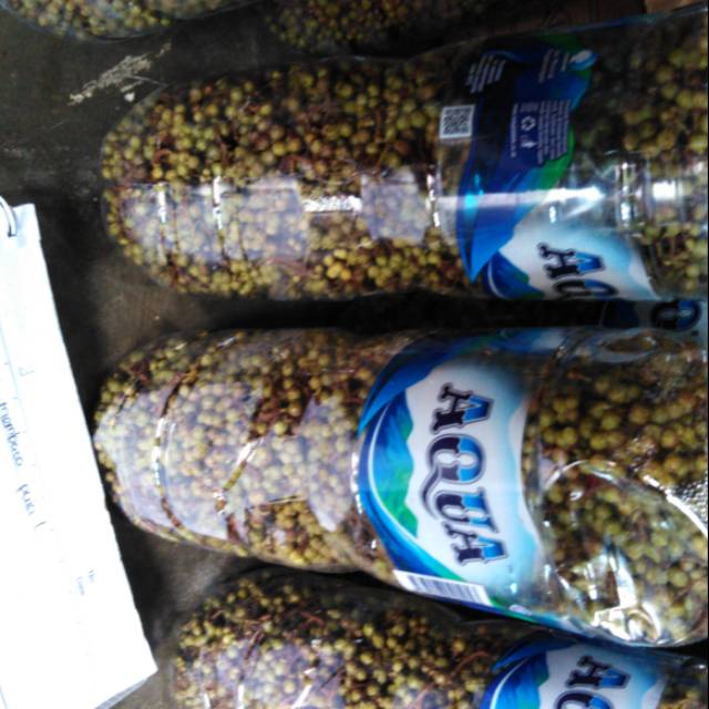 

Andaliman