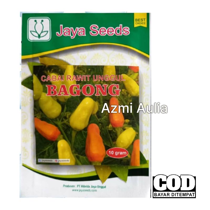 azmiaulia14 Benih Cabe Rawit Putih BAGONG 10g - Benih Cabe Rawit - Bibit Cabai Rawit - Bibit Cabe