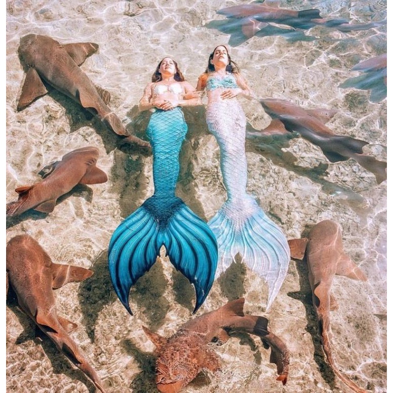 Cosplay Mermaid Tail Ekor Putri Duyung Wanita Dewasa untuk Renang Ekor Putri Duyung With Monofin Mem