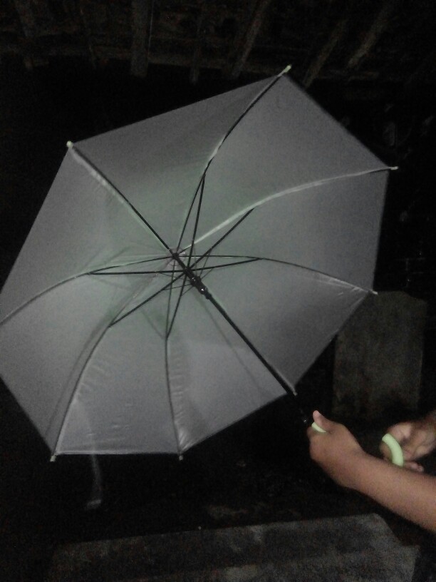 Payung Transparan 627