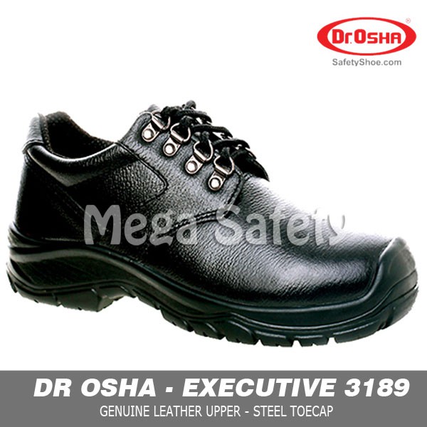 baca safety shoes