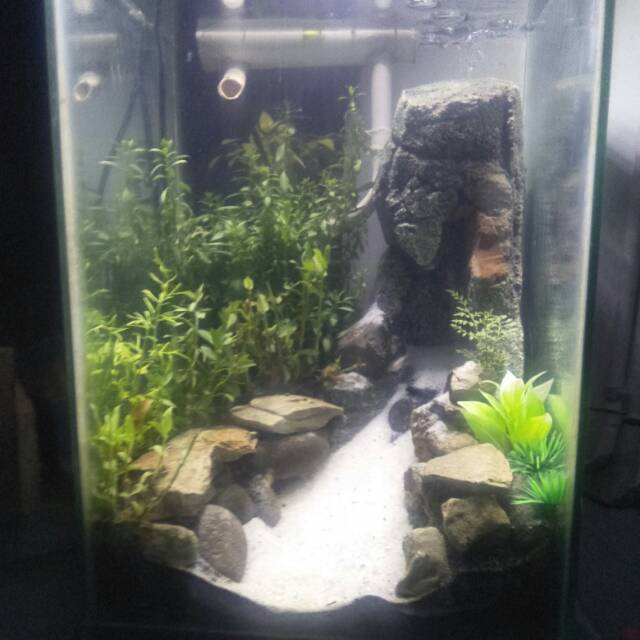 Aquascape air terjun