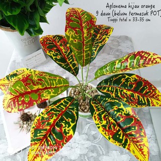 Tanaman daun Aglonema merah hijau/ Tanaman imitasi