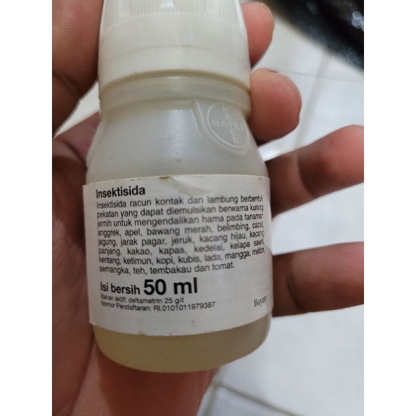 decis 50ml insektisida