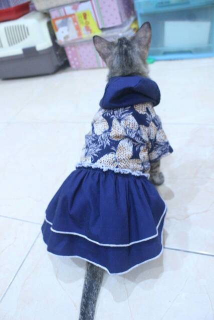 Dress buah model hoodie lucu untuk kucing dan anjing / baju kucing tangerang murah size S M L XL