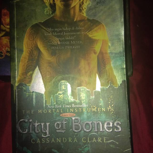 Novel city of bones