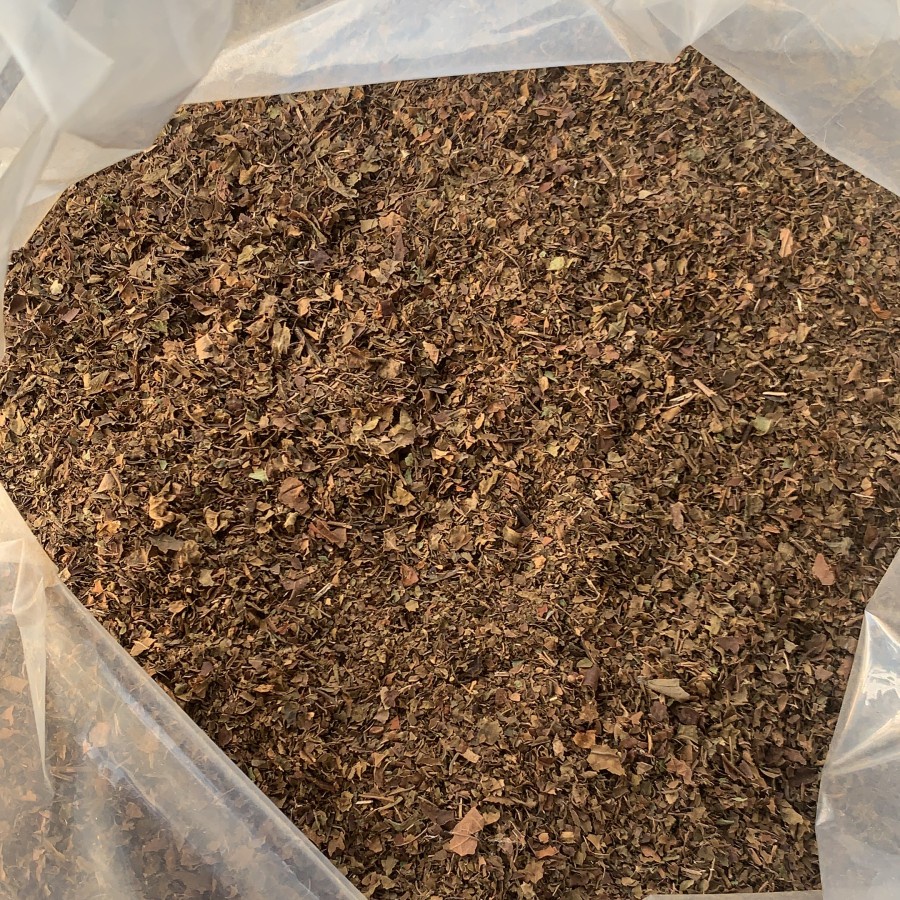 

Daun Kelor Kering 25gr - Teh Daun Kelor Kualitas Bagus