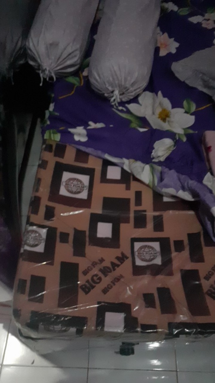 Kasur Busa Bigfoam Standar All Size (promo Harga)