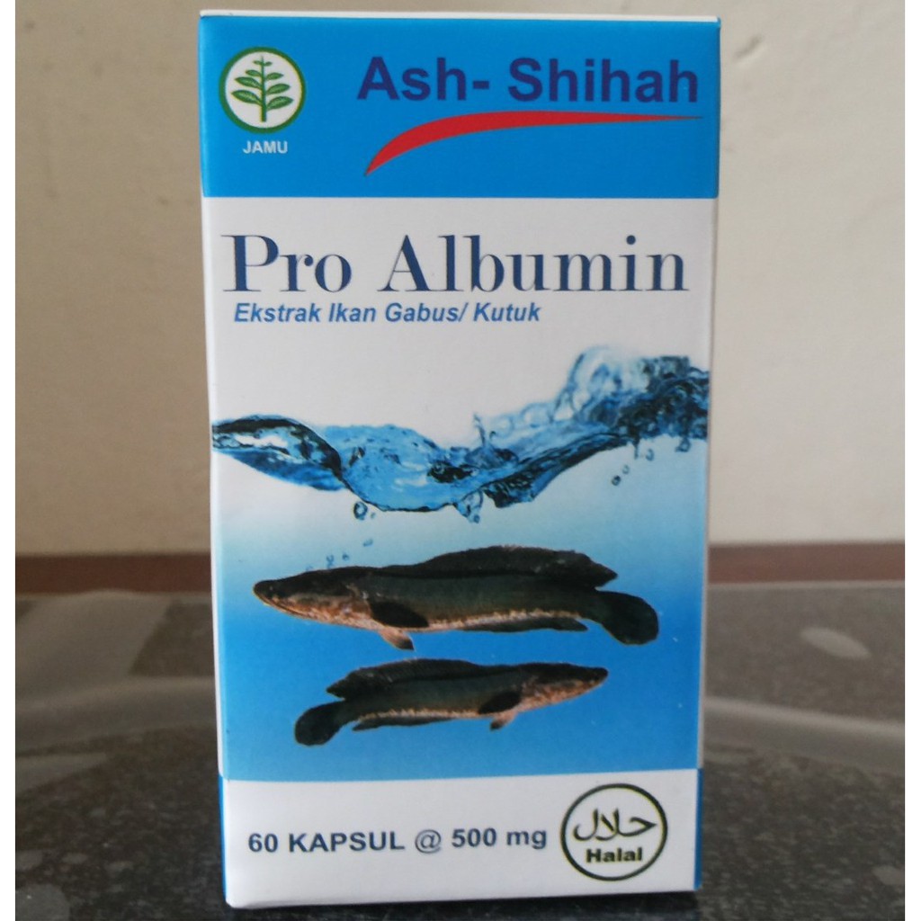 PRO ALBUMIN kapsul ekstrak ikan gabus ikan kutuk ASH SHIHHAH ORIGINAL