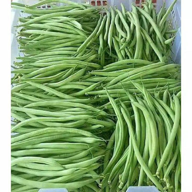 

buncis 250gram 6000