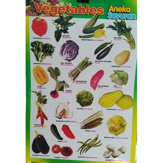 

POSTER EDUKASI ANAK LEMBARAN BUAH,SAYUR ,ANGGOTA TUBUH