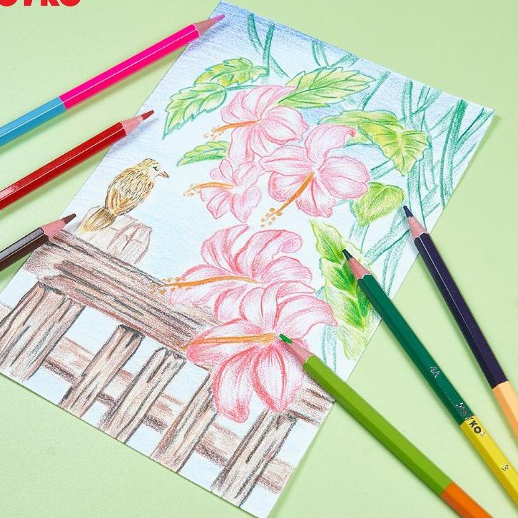 

❪HaS!❫ Joyko Bi- Isi 12 Color Pencil duo color 2 warna /Murah banget