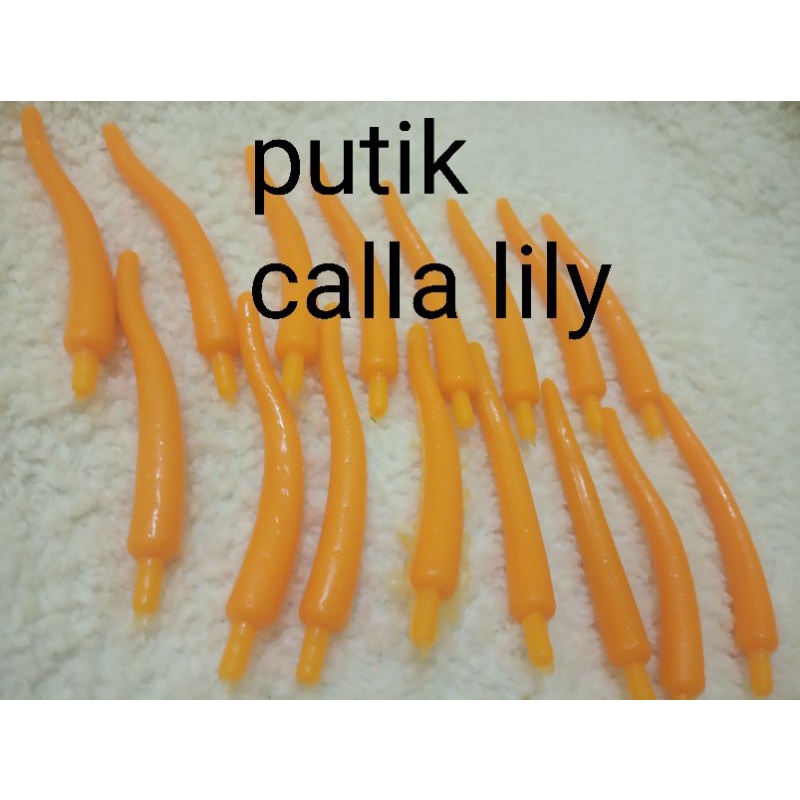 putik cala lily