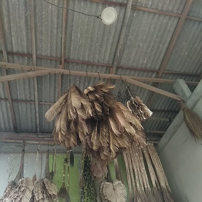 Dried Flower Daun Palem Sikas/Mawar Jambe Kering Dekorasi rumah