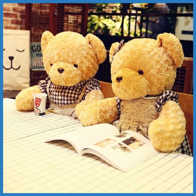 BONEKA MINISO HBVI BONEKA TEDDY BEAR BERUANG TED COUPLE IMPORT