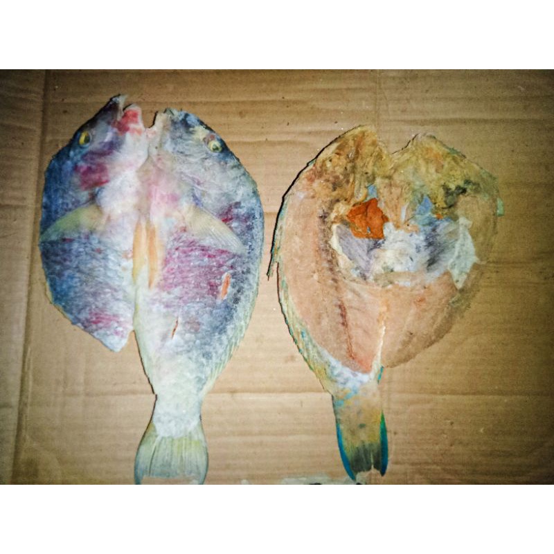 

IKAN ASIN S4NC0 2L