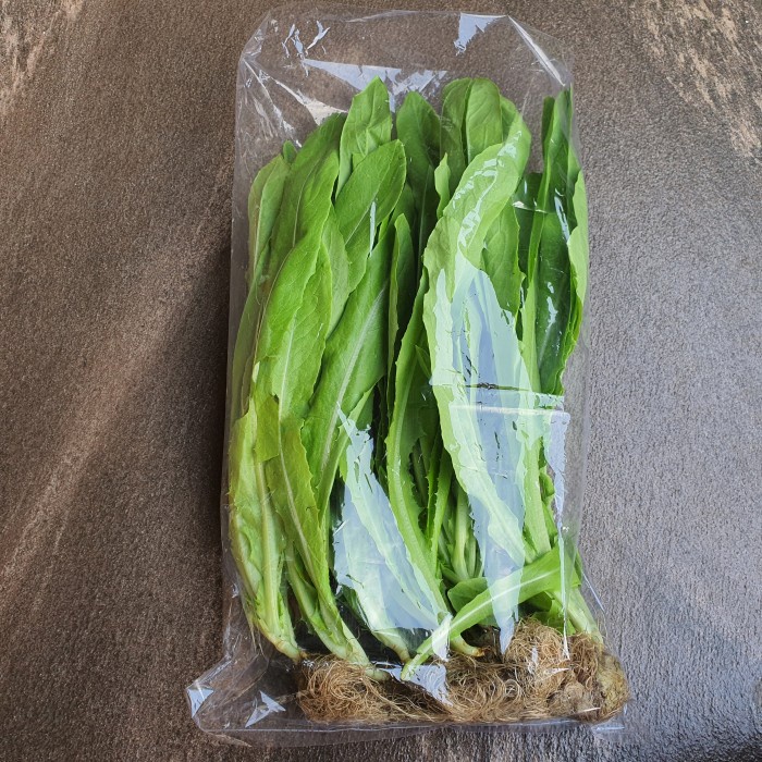 

SIOMAK HIDROPONIK 250gr