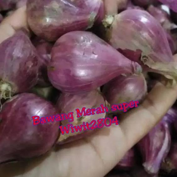 

Bawang Merah Brebes Super ukuran besar 1kg Hot