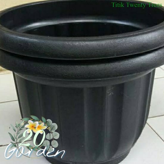 Mediatanam Pot Ukuran 50 cm pot besar