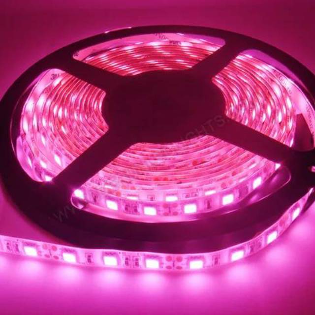 Lampu led strip 12V SMD 5050 3528 PINK MERAH MUDA 5M mata besar waterproof 5m hias plafon