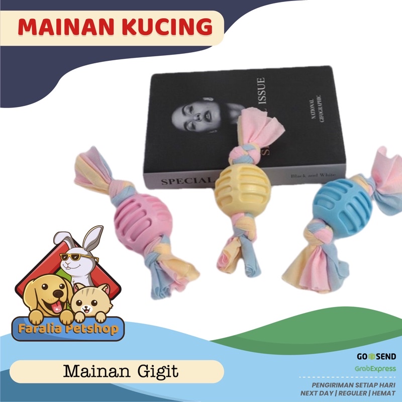 Mainan Gigit Anjing Kunyah Dog Toy Puppy Rubber Ball Warna Pastel